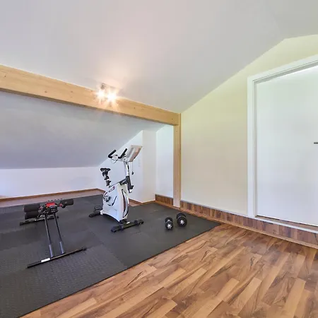 Penthouse Holleis 아파트 마이스호펜