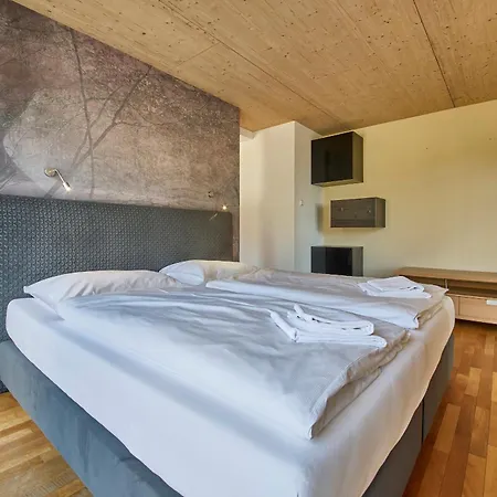 Penthouse Holleis *