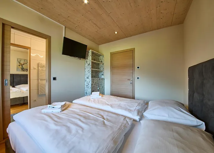 Apartment Penthouse Holleis *