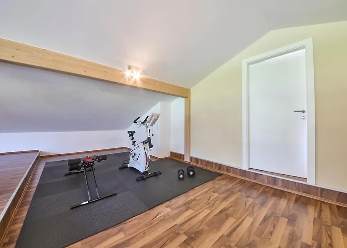 Penthouse Holleis Apartment Maishofen