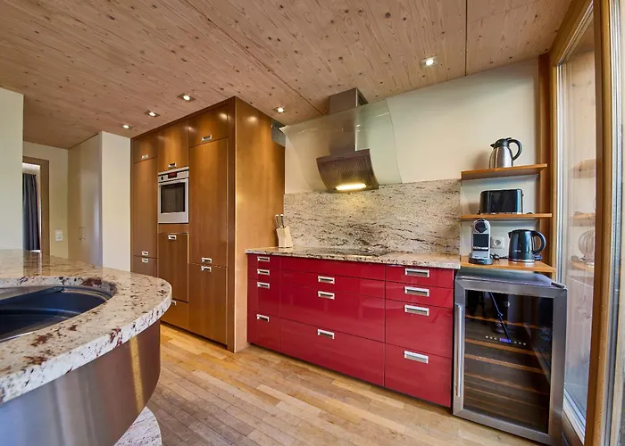 Penthouse Holleis Apartment Maishofen